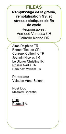 Équipe FILEAS