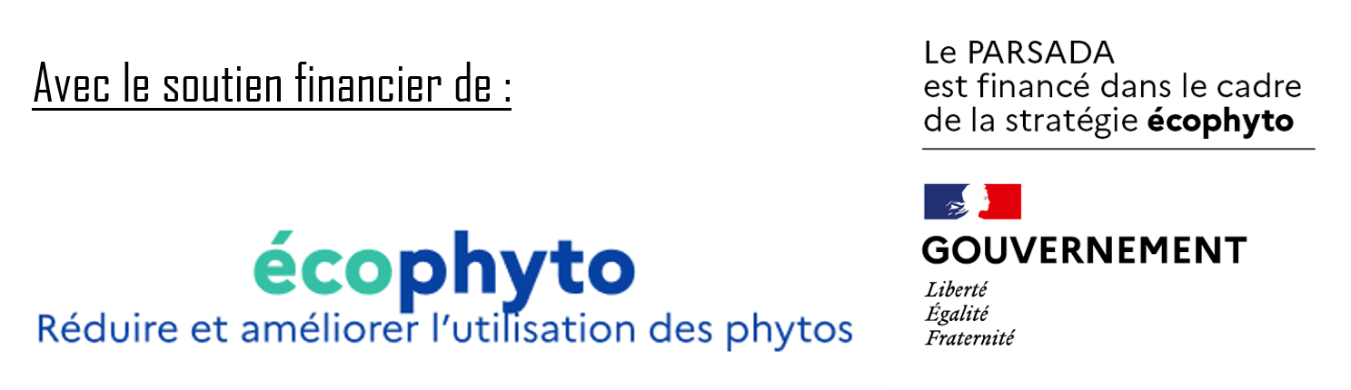 Financeur parsada Financeur parsada