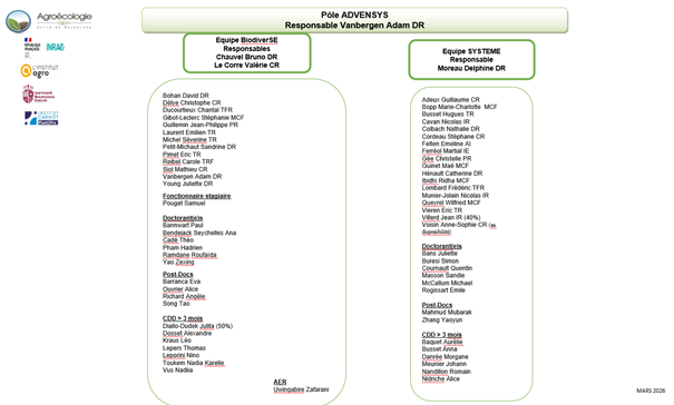 POLE ADVENSYS.png POLE ADVENSYS.png