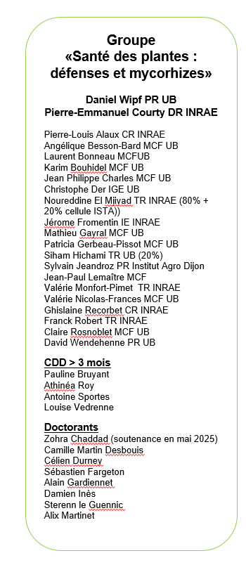 Équipe mycoemb