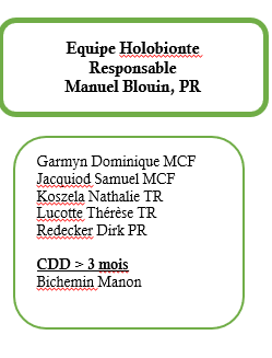 Équipe holobionte