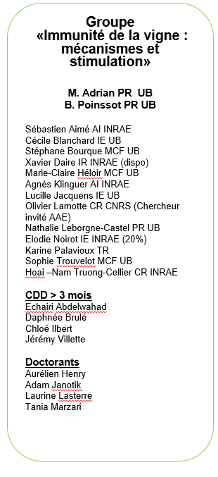 Équipe immunité de la vigne