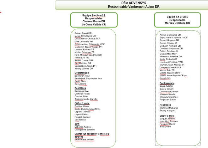 ADVENSYS