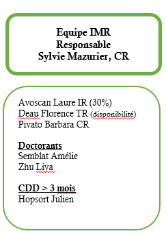 Équipe IMR