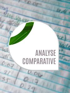 Présentation des activités de l’équipe Analyse comparative