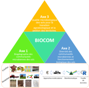 Biocom