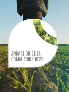 Présentation des activités de l’équipe Animation de la commission CEPP.